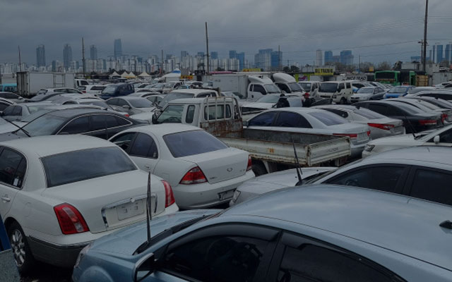 사망자 차량 문제 해결