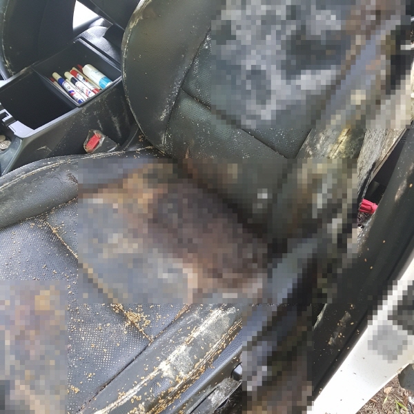 3-2. 오염상태 확인